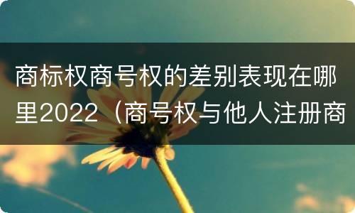 商标权商号权的差别表现在哪里2022（商号权与他人注册商标专用权的冲突）