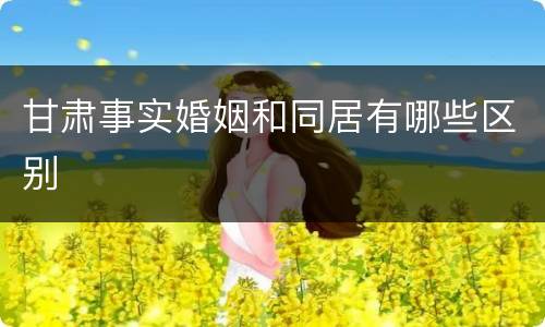 甘肃事实婚姻和同居有哪些区别