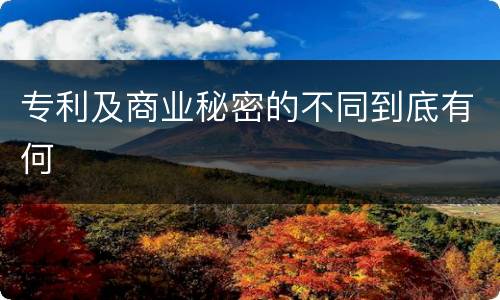 专利及商业秘密的不同到底有何