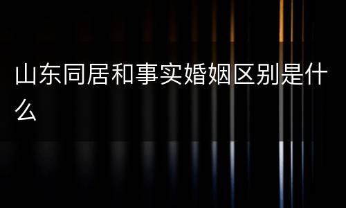 山东同居和事实婚姻区别是什么