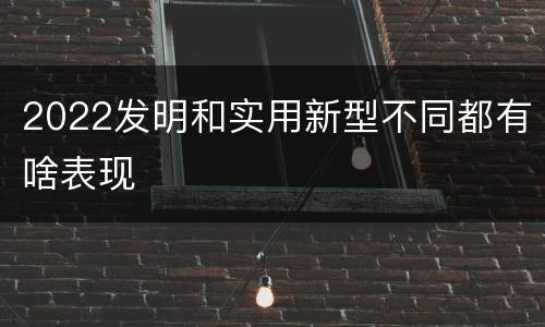 2022发明和实用新型不同都有啥表现