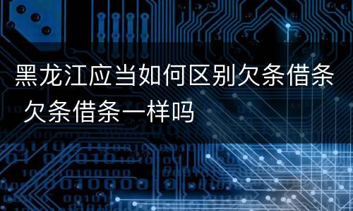 黑龙江应当如何区别欠条借条 欠条借条一样吗