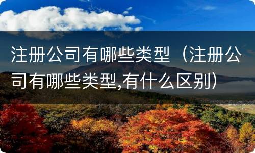 注册公司有哪些类型（注册公司有哪些类型,有什么区别）