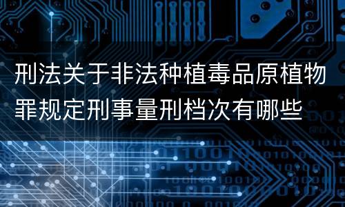 刑法关于非法种植毒品原植物罪规定刑事量刑档次有哪些