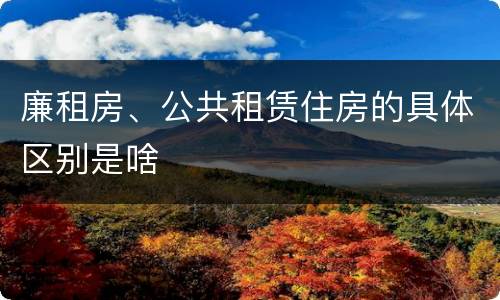 廉租房、公共租赁住房的具体区别是啥