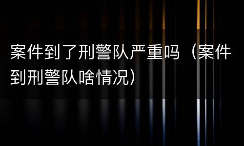 案件到了刑警队严重吗（案件到刑警队啥情况）