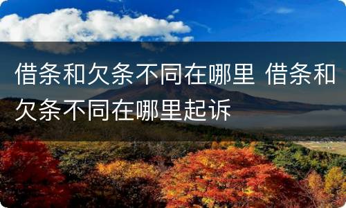 借条和欠条不同在哪里 借条和欠条不同在哪里起诉