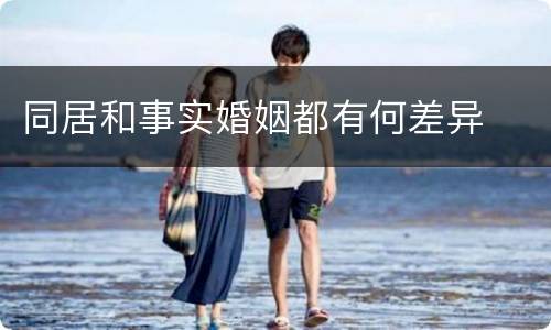 同居和事实婚姻都有何差异