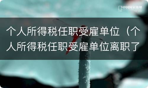 个人所得税任职受雇单位（个人所得税任职受雇单位离职了还有）