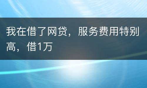我在借了网贷，服务费用特别高，借1万