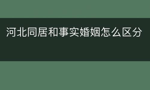 河北同居和事实婚姻怎么区分