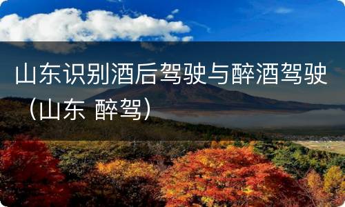 山东识别酒后驾驶与醉酒驾驶（山东 醉驾）