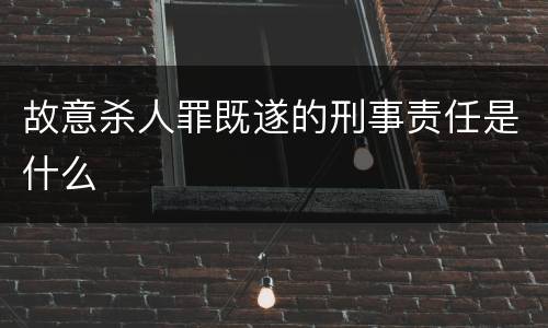 故意杀人罪既遂的刑事责任是什么