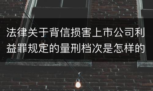 法律关于背信损害上市公司利益罪规定的量刑档次是怎样的