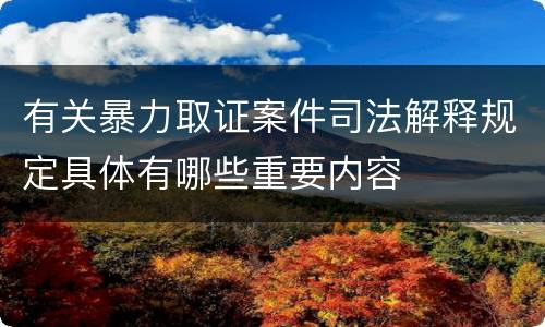 有关暴力取证案件司法解释规定具体有哪些重要内容