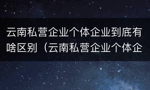 云南私营企业个体企业到底有啥区别（云南私营企业个体企业到底有啥区别呢）