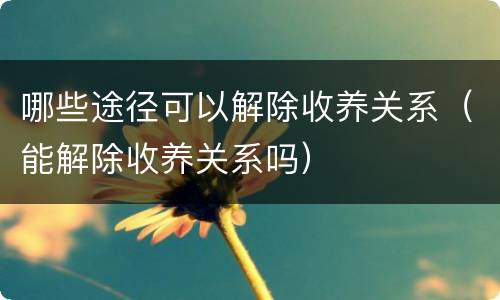 哪些途径可以解除收养关系（能解除收养关系吗）