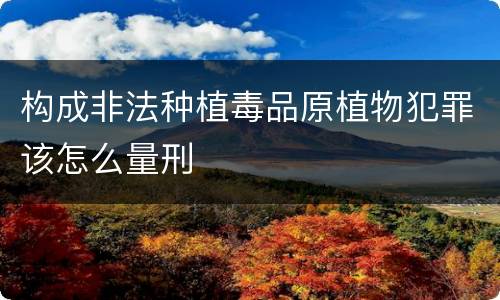 构成非法种植毒品原植物犯罪该怎么量刑