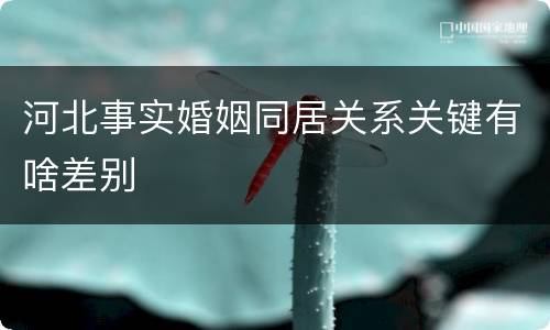 河北事实婚姻同居关系关键有啥差别