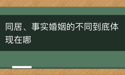 同居、事实婚姻的不同到底体现在哪