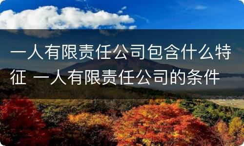 一人有限责任公司包含什么特征 一人有限责任公司的条件