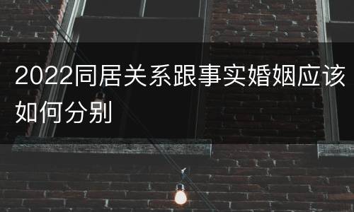 2022同居关系跟事实婚姻应该如何分别