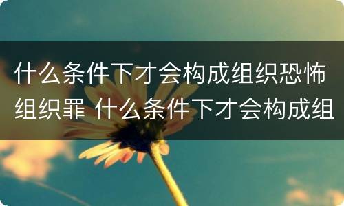 什么条件下才会构成组织恐怖组织罪 什么条件下才会构成组织恐怖组织罪名
