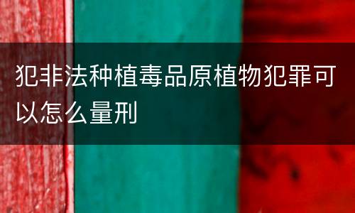 犯非法种植毒品原植物犯罪可以怎么量刑