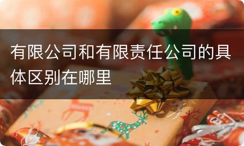 有限公司和有限责任公司的具体区别在哪里