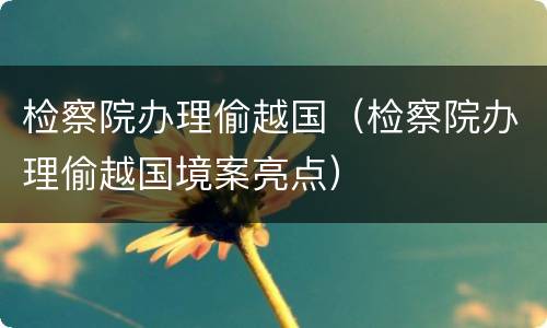 检察院办理偷越国（检察院办理偷越国境案亮点）