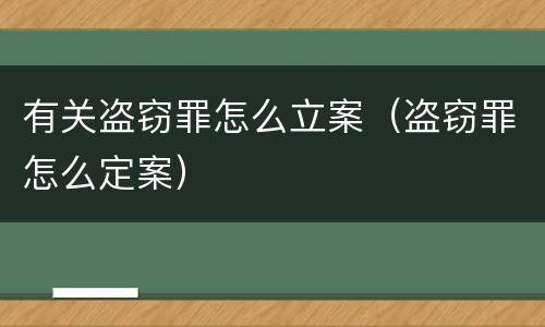 有关盗窃罪怎么立案（盗窃罪怎么定案）