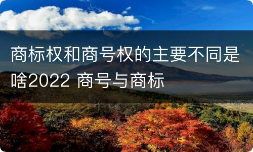 商标权和商号权的主要不同是啥2022 商号与商标
