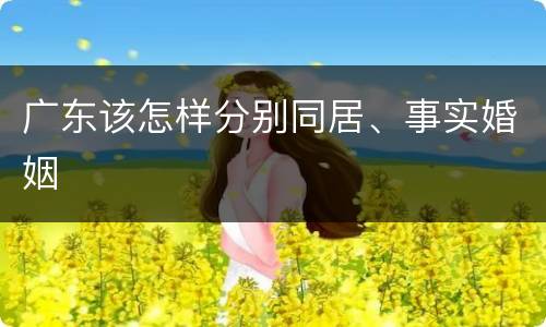 广东该怎样分别同居、事实婚姻