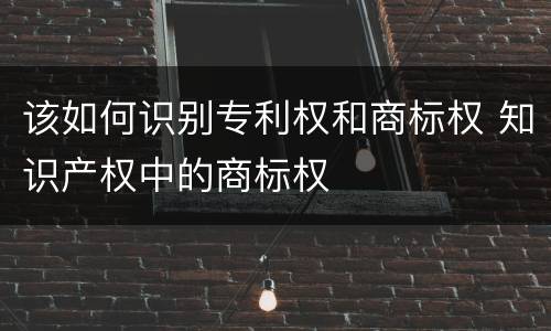 该如何识别专利权和商标权 知识产权中的商标权