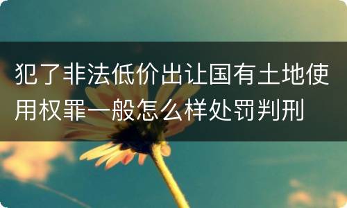 犯了非法低价出让国有土地使用权罪一般怎么样处罚判刑