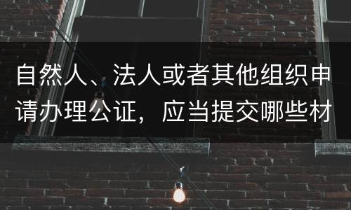 自然人、法人或者其他组织申请办理公证，应当提交哪些材料