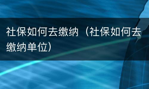 社保如何去缴纳（社保如何去缴纳单位）
