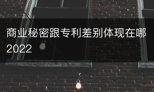 商业秘密跟专利差别体现在哪2022