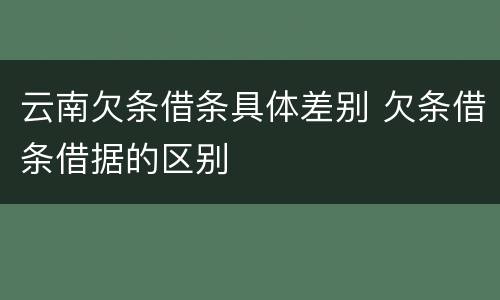 云南欠条借条具体差别 欠条借条借据的区别