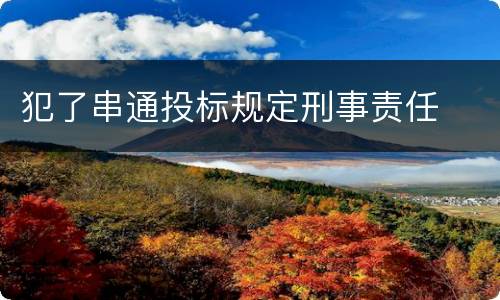 犯了串通投标规定刑事责任