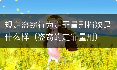 规定盗窃行为定罪量刑档次是什么样（盗窃的定罪量刑）