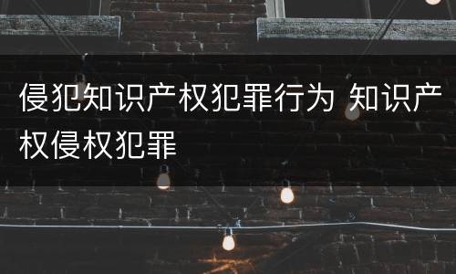 侵犯知识产权犯罪行为 知识产权侵权犯罪