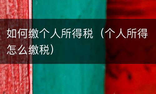 如何缴个人所得税（个人所得怎么缴税）