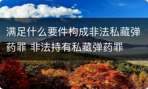 满足什么要件构成非法私藏弹药罪 非法持有私藏弹药罪