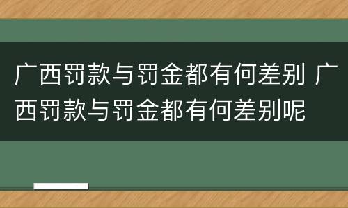 广西罚款与罚金都有何差别 广西罚款与罚金都有何差别呢