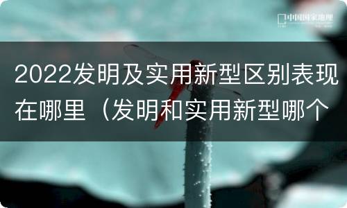 2022发明及实用新型区别表现在哪里（发明和实用新型哪个好）