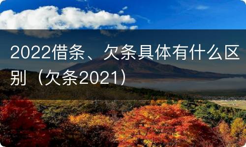 2022借条、欠条具体有什么区别（欠条2021）