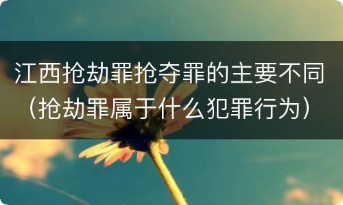 江西抢劫罪抢夺罪的主要不同（抢劫罪属于什么犯罪行为）
