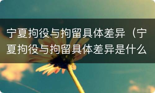 宁夏拘役与拘留具体差异（宁夏拘役与拘留具体差异是什么）