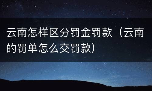 云南怎样区分罚金罚款（云南的罚单怎么交罚款）